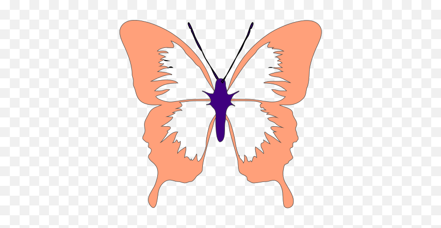 Purple And Peach Butterfly Png Svg Clip Art For Web Emoji,Star Butterfly Png