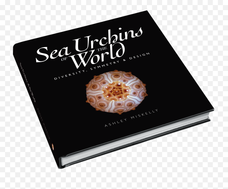 Sea Urchins Of The World Book - Sea Urchin Emoji,Sea Urchin Png