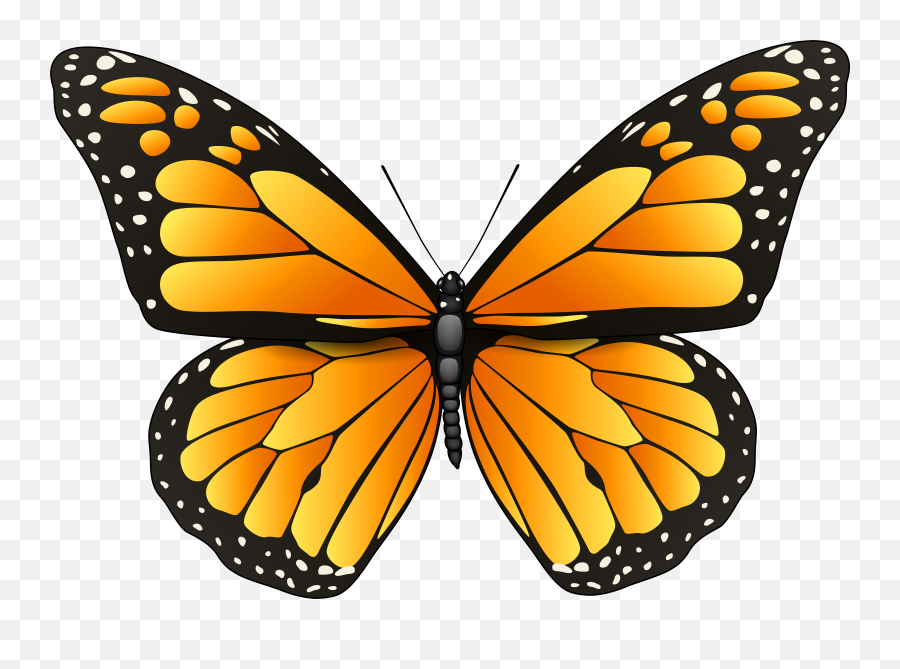 Download Hd Orange Butterfly Png Clip - Monarch Butterfly Clipart Emoji,Butterfly Png