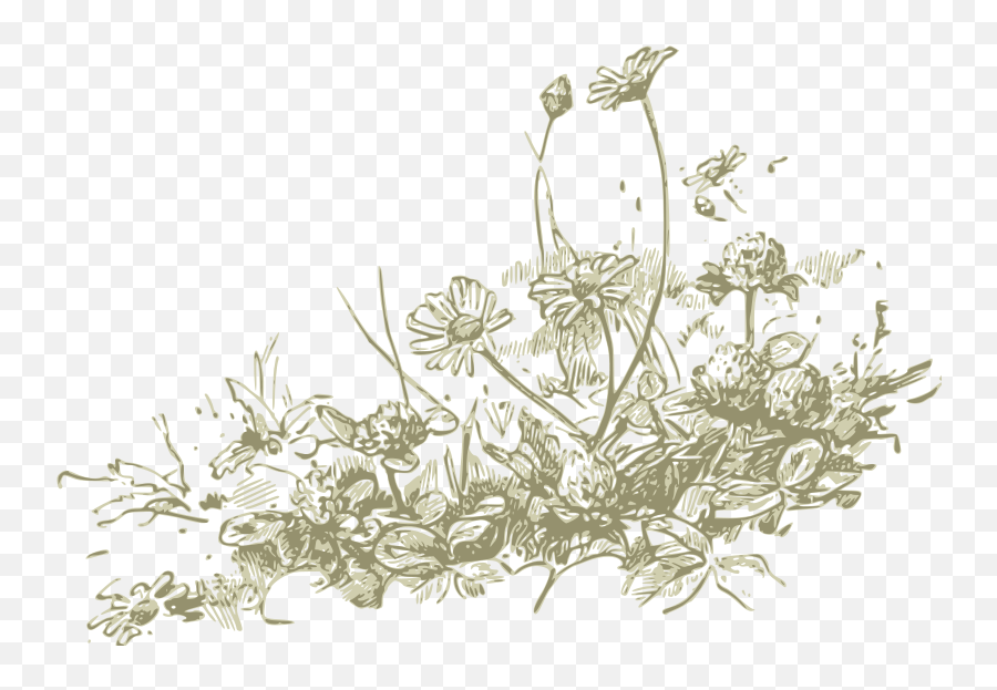 Free Wildflowers Cliparts Download - Sombrero Con Flores Dibujo Emoji,Wildflower Clipart