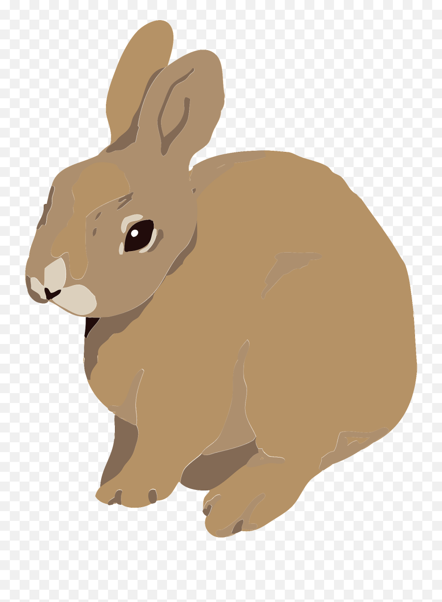 Brown Rabbit Clipart Free Download Transparent Png Creazilla - Cotton Tail Rabbit Clipart Emoji,Bunny Face Clipart