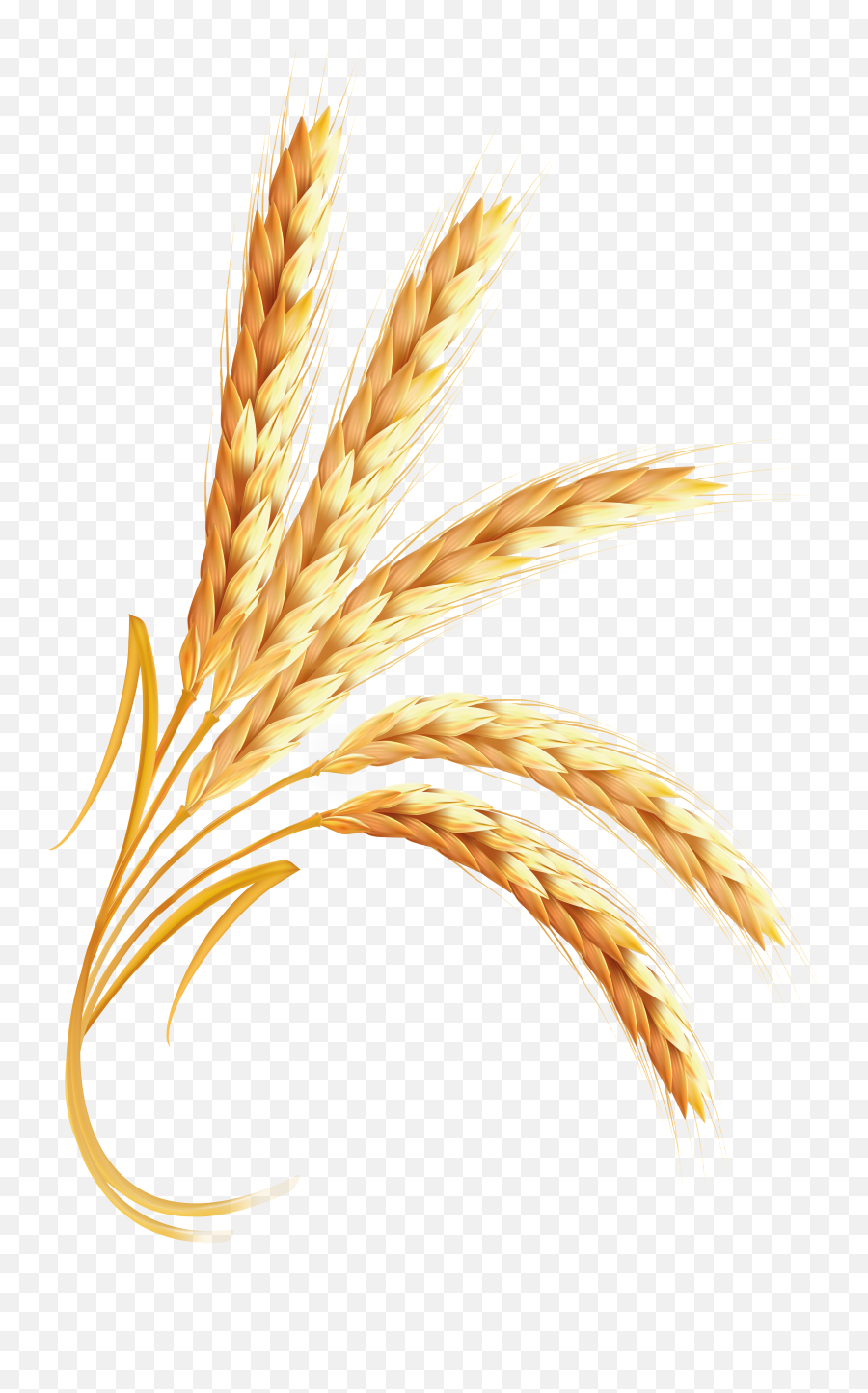 Wheat Transparent Png Clipart Images Emoji,Wheat Clipart