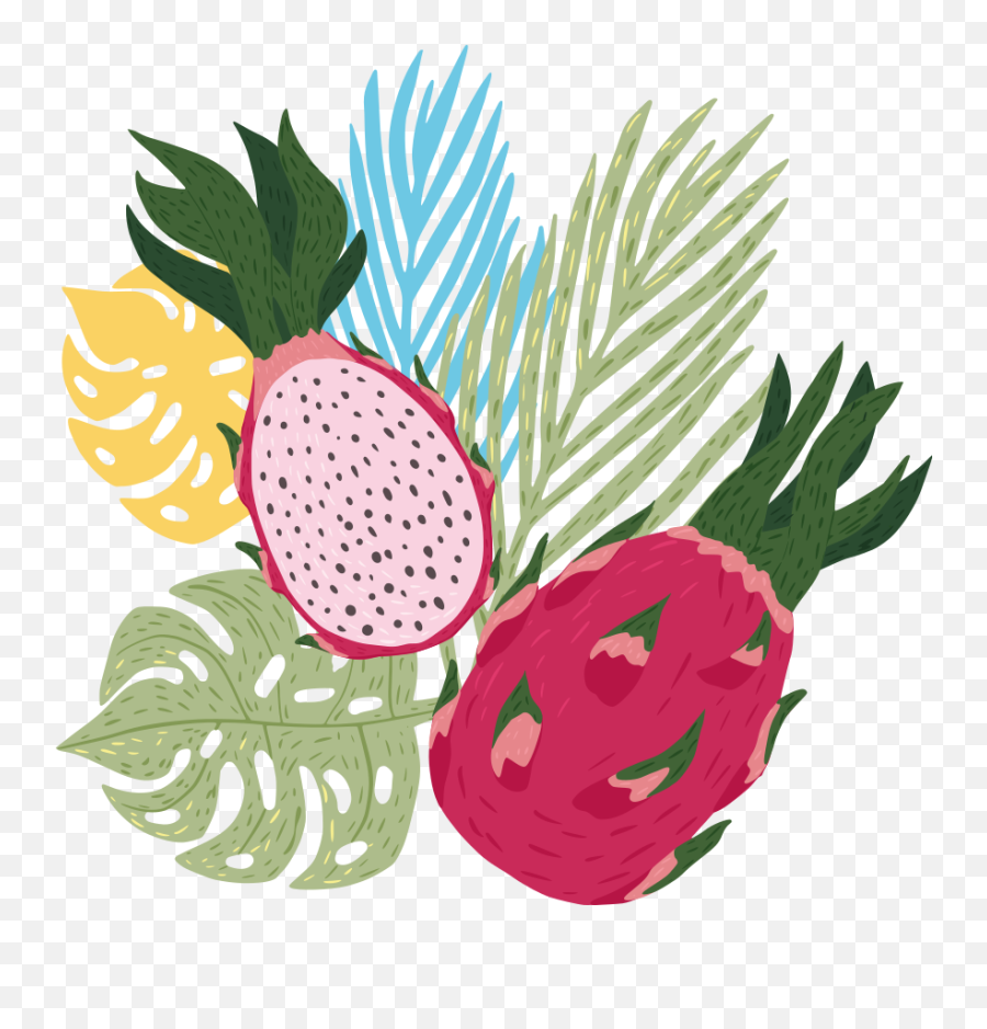 Composition Dragon Fruit Tropical Leaves Kitchen Stickers Emoji,Tropical Leaves Clipart