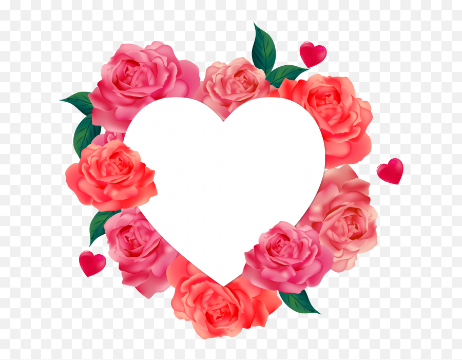 Download Free Png Rose Heart Valentine Background Png Free Emoji,Valentine Background Png