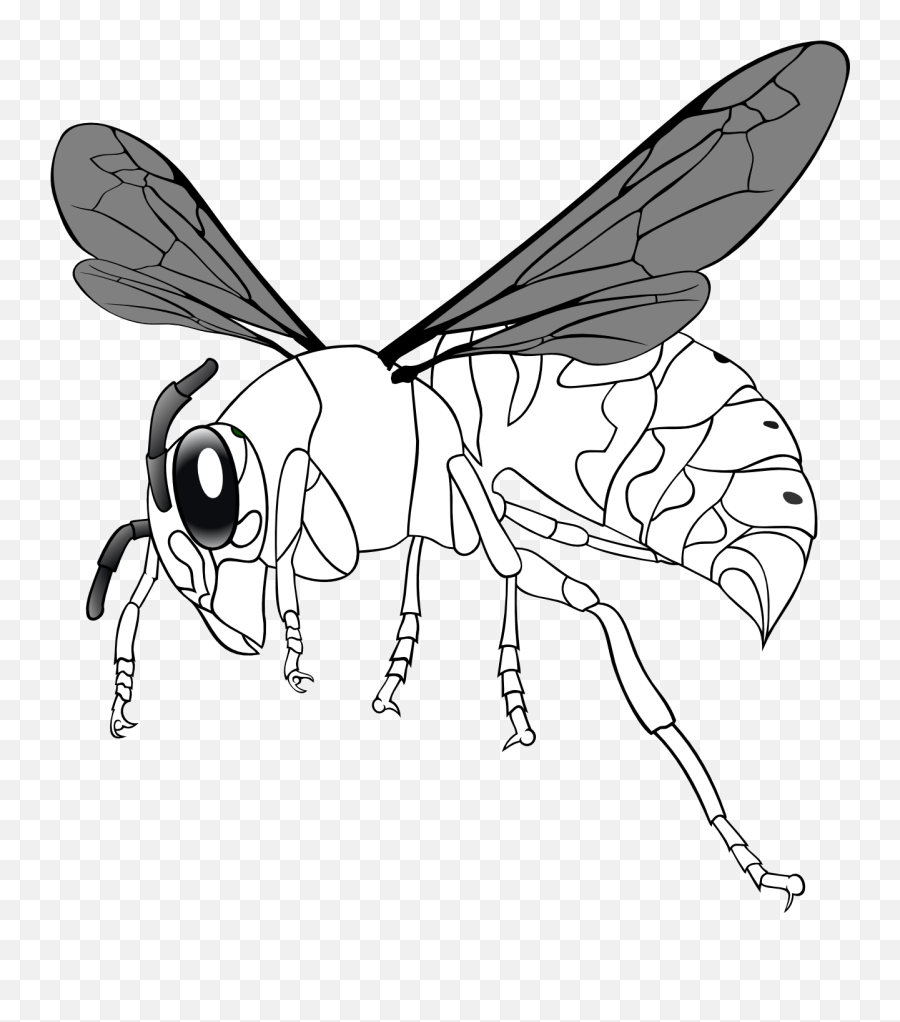 Bee Line Drawing - Parasitism Emoji,Bee Clipart Black And White