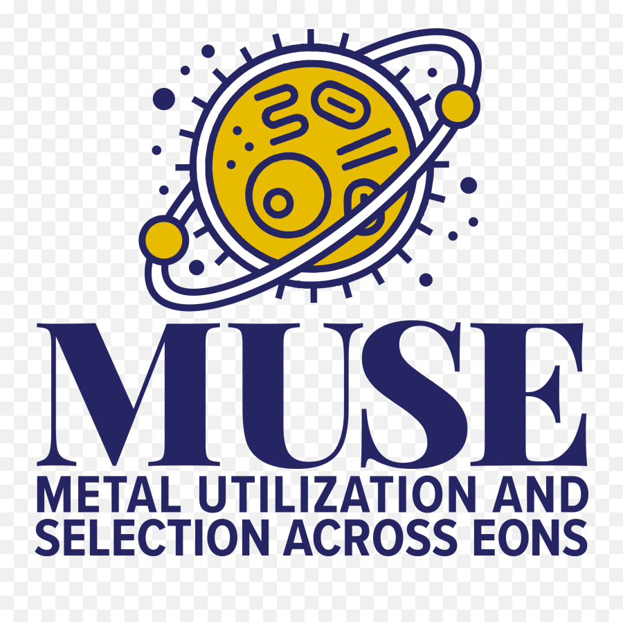 Muse Website Design Brand Strategy U2014 Impact Media Lab Emoji,Nasa Logo Maker