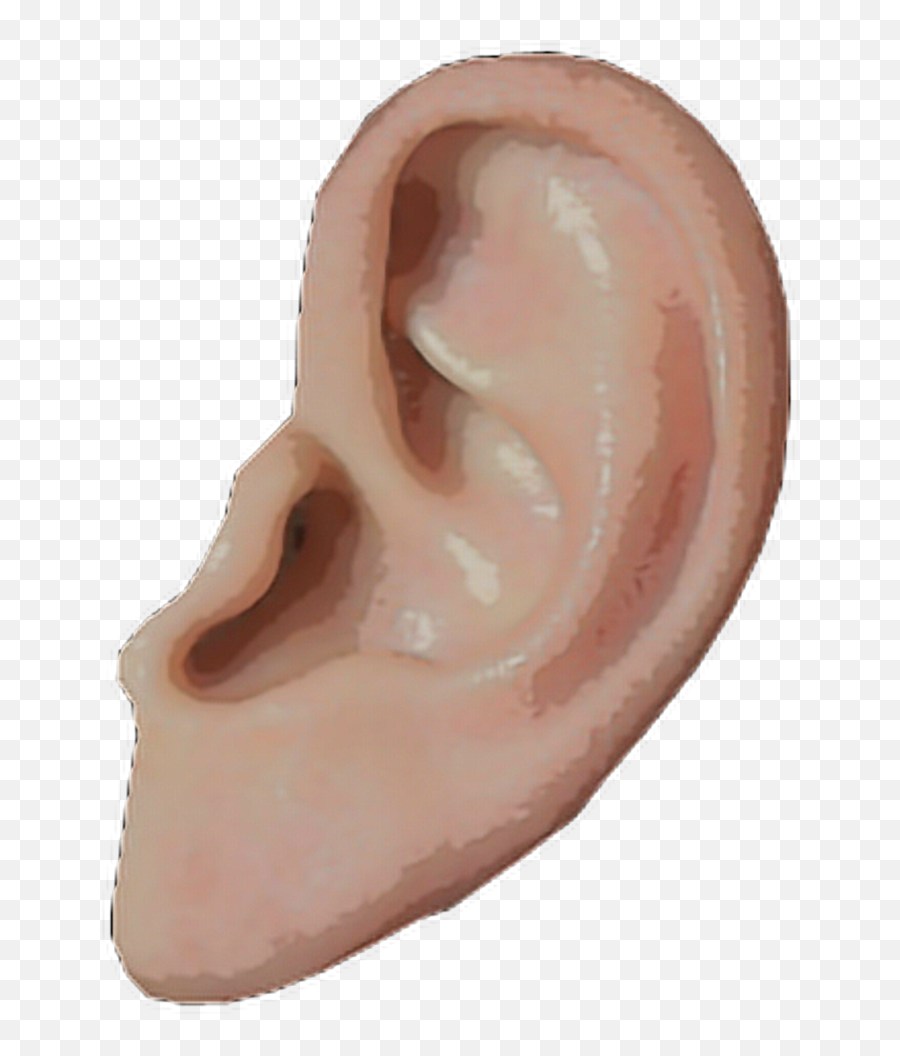 Ear Download Transparent Png Image - Ear Aesthetic Png Emoji,Ear Png
