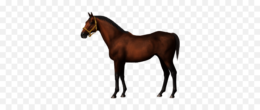 Lil Peep U2022 Horse World Online - Oregon Trail Horse Emoji,Lil Peep Png
