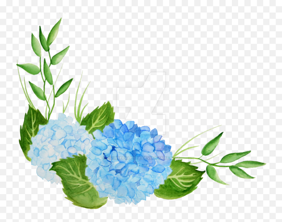 Hydrangea Transparent Watercolor - Transparent Background Blue Hydrangea Border Clip Art Emoji,Watercolor Transparent Background