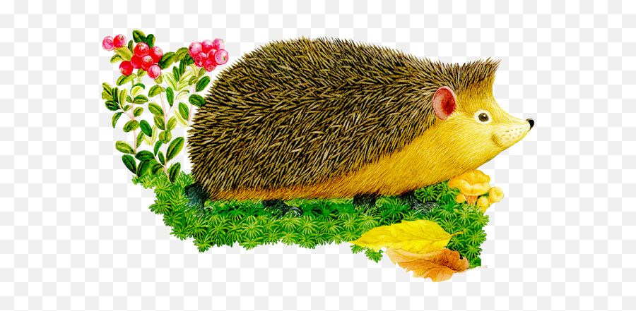 Colección De Gifs Imágenes De Erizos Animal Clipart Emoji,Porcupine Clipart