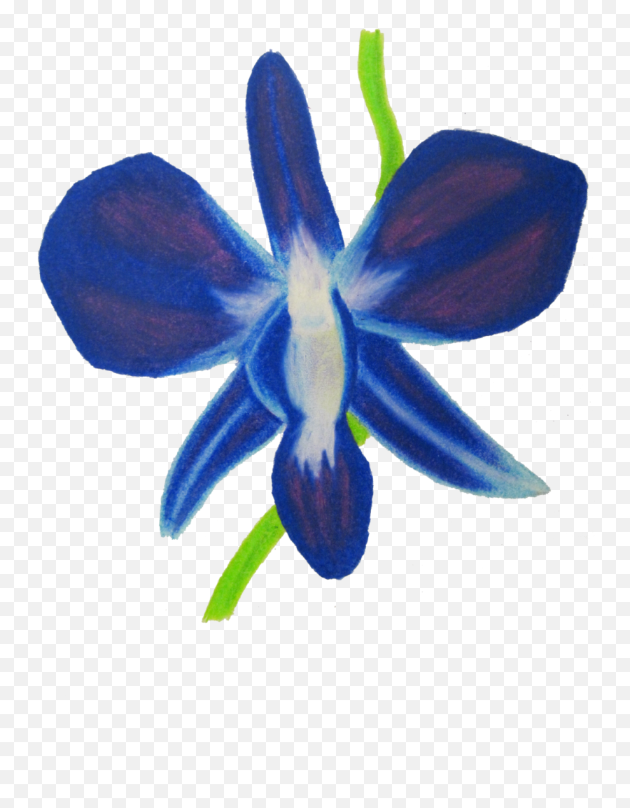 Orchid Clipart Blue Orchid - Orchids Emoji,Orchid Clipart