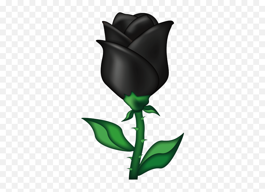Privado Results - Transparent White Rose Emoji,Black Rose Png
