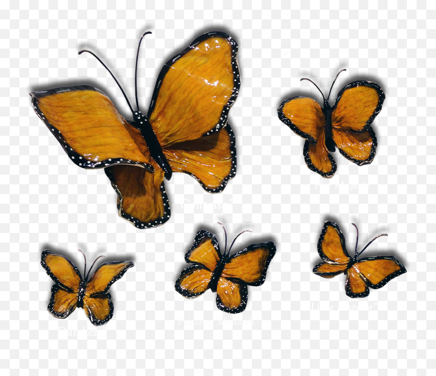 Monarch Emoji,Monarch Butterfly Png