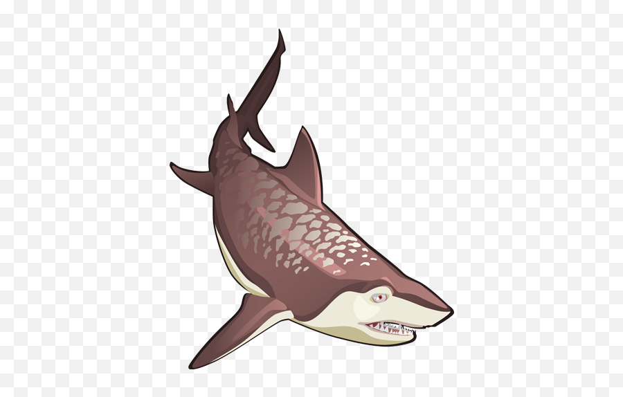 Shark Png Hd Images Stickers Vectors Emoji,Shark Head Clipart