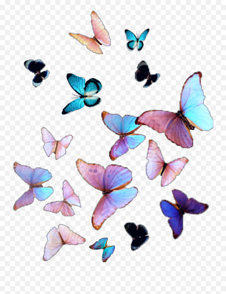 Butterflies Butterfly Many Sticker By Candice Emoji,Butterfly Wings Clipart