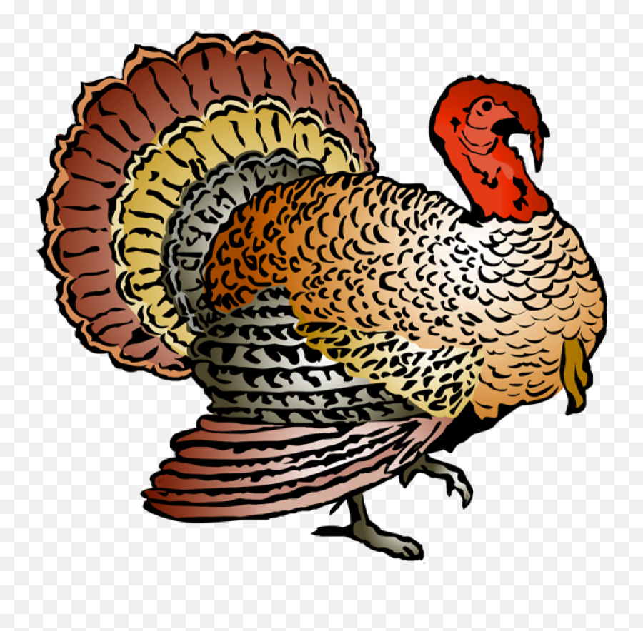 Thanksgiving Turkey Dinner Clipart Free Images 2 - Clipartix Wat Bang Thong Emoji,Thanksgiving Dinner Clipart
