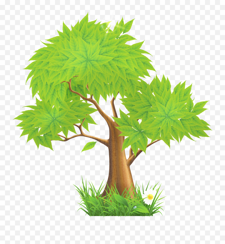 Clipart Trees Grass Clipart Trees Grass Transparent Free - Eucalyptus Tree Clipart Emoji,Trees Png
