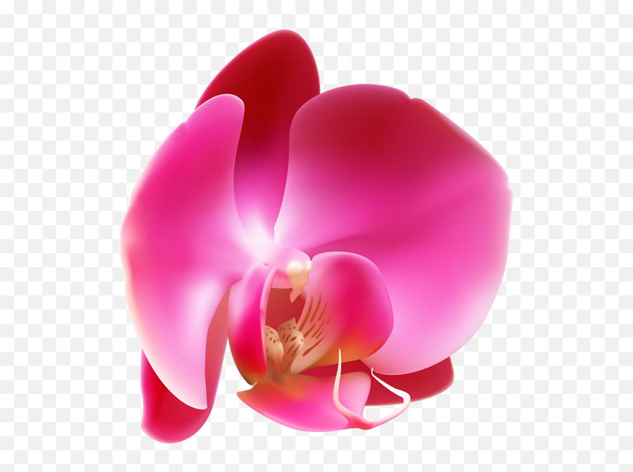 Orchid Clip Art - Orchid Graphic Design Emoji,Orchid Clipart