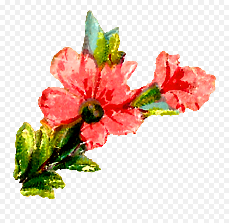 Pastel Floral Clipart Downloads - Clip Art Emoji,Floral Clipart