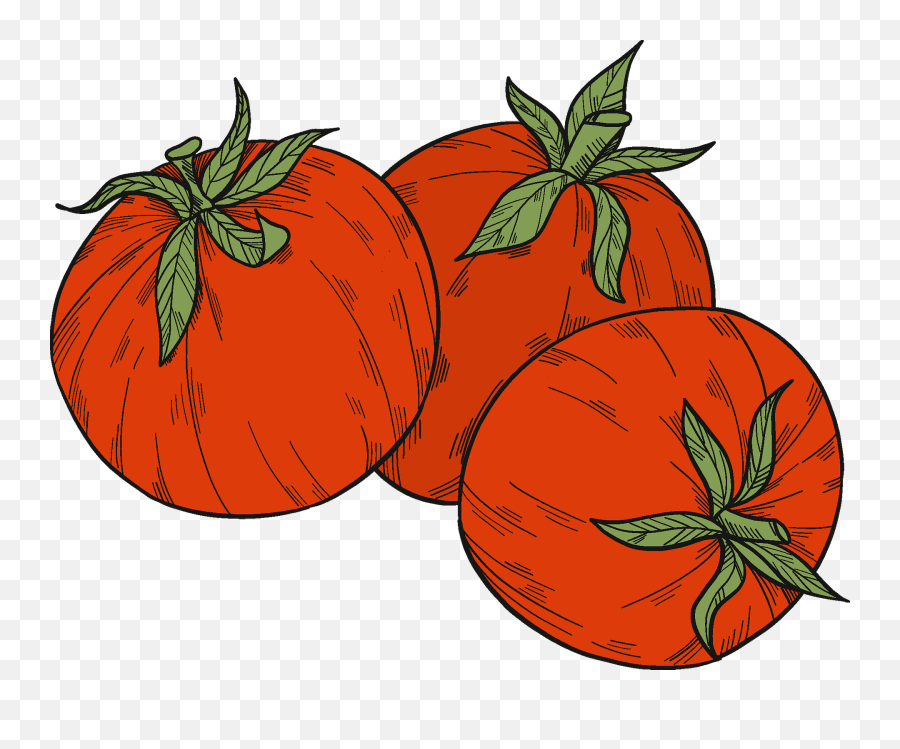 Tomatoes Clipart Free Download Transparent Png Creazilla Emoji,Tomatoes Png