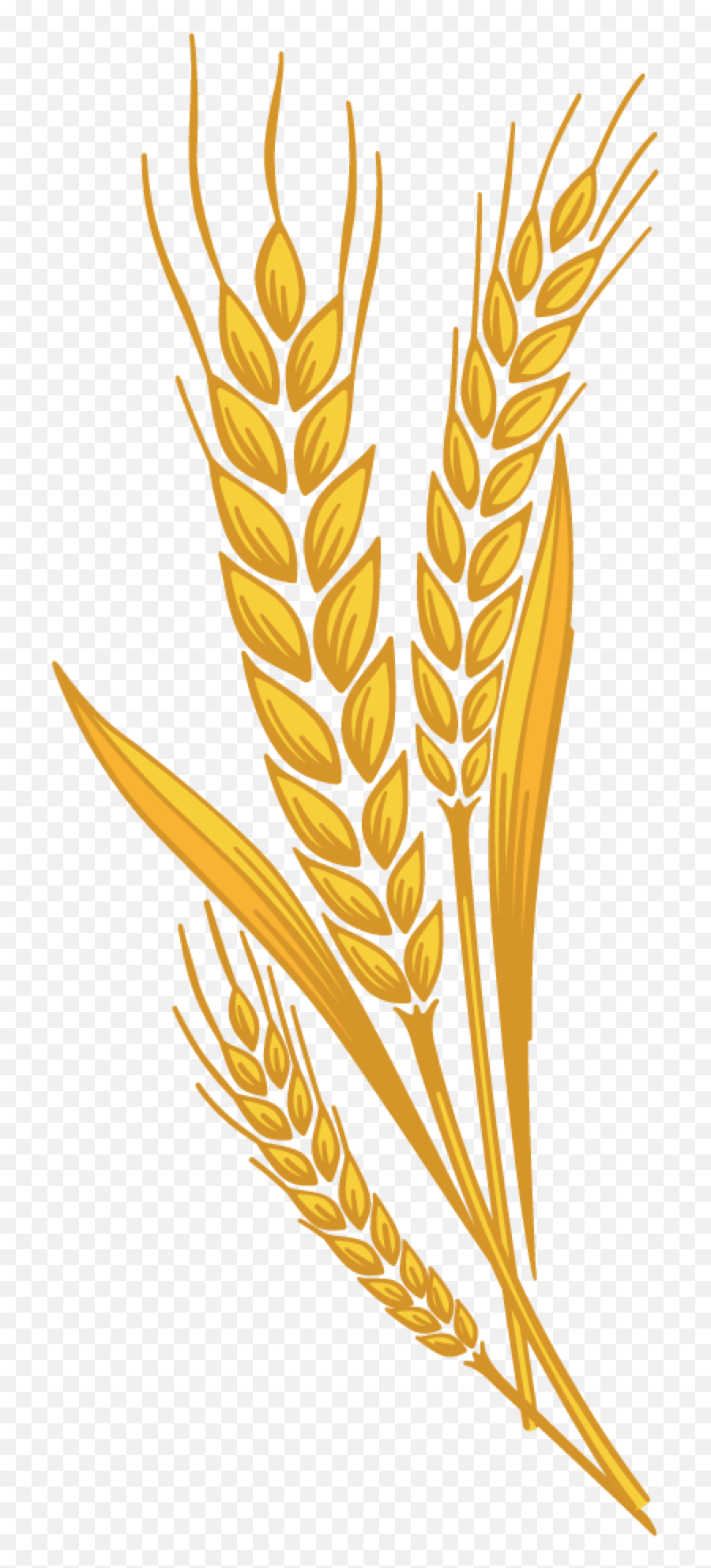 Library Of Shock Of Wheat Graphic - Wheat Clipart Png Emoji,Wheat Clipart