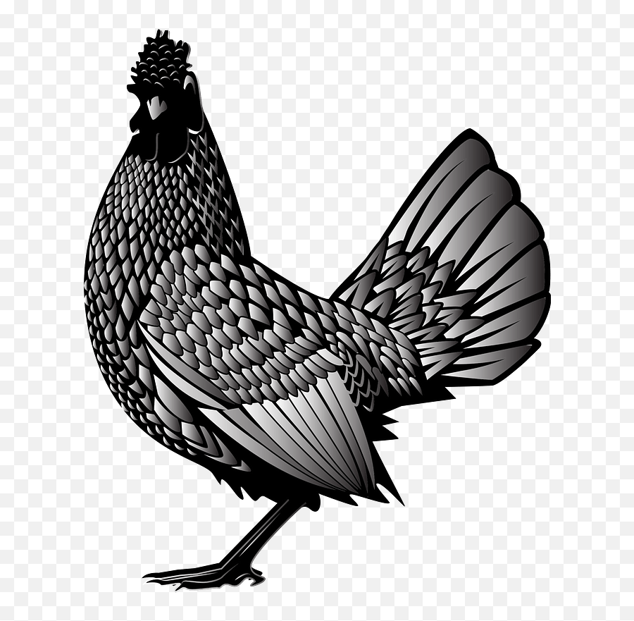 Chicken Clipart - Transparent Png Chicken Svg Emoji,Chicken Clipart Black And White