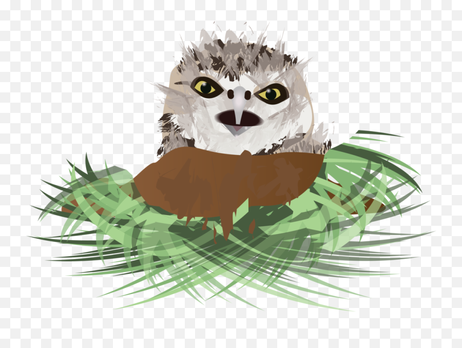 Porcupinecarnivoranwhiskers Png Clipart - Royalty Free Svg Burrowing Owl Clipart Emoji,Porcupine Clipart