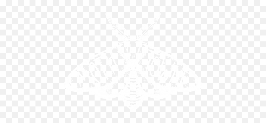 Home - Hawk Moths Emoji,Moth Logo
