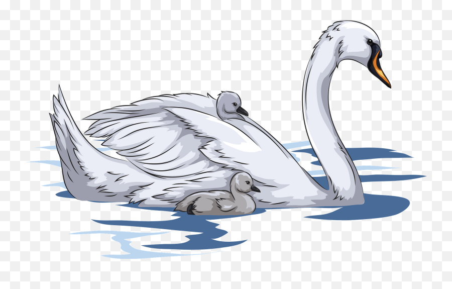 Mute Swan With Cygnets Clipart - Mute Swan Emoji,Swan Clipart