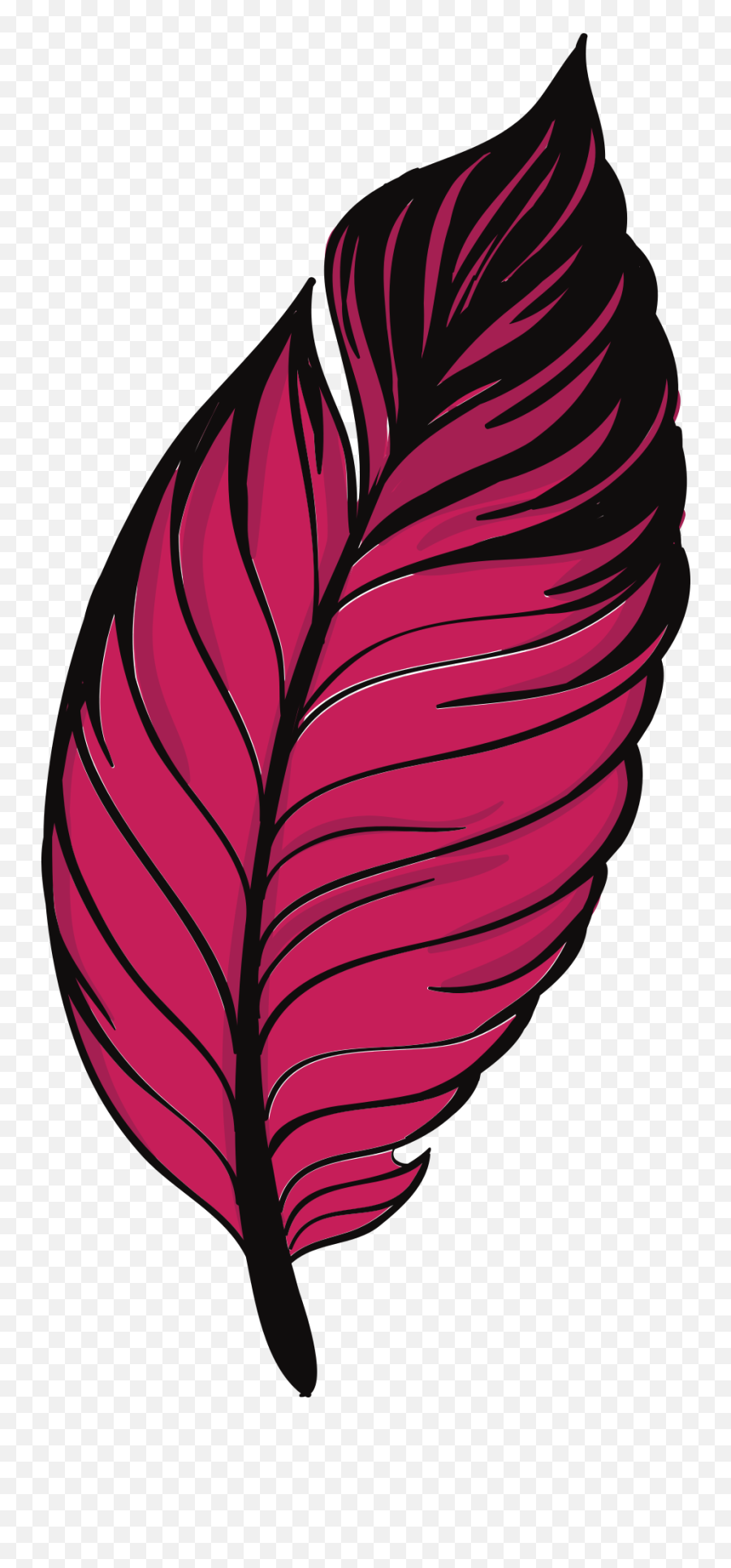 Painted Crimson Feather Of Pigeon - Feather Transparent Png Vektor Bulu Burung Png Emoji,Turkey Feathers Clipart