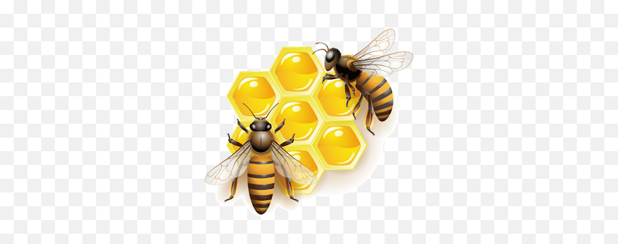 Clipart Honey Bee Vector Transparent - Bee Transparent Emoji,Bumblebee Clipart