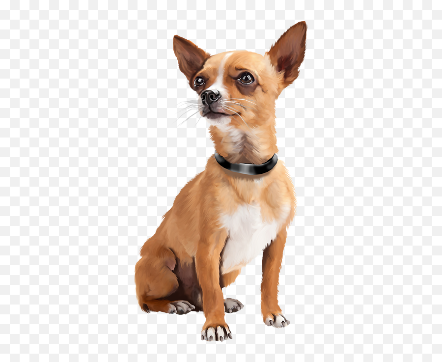 Animals Dog Pictures Cute Dogs Emoji,Chihuahua Clipart