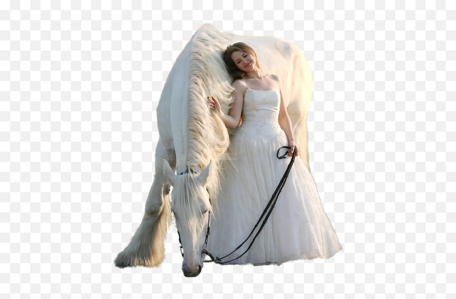 Woman Horse Transparent - White Horse Images With Beautiful Girl Emoji,Horse Transparent