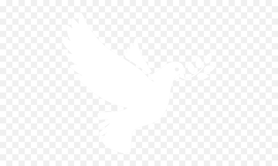 White Dove Png Icon - White Dove Icon Png Emoji,Dove Png