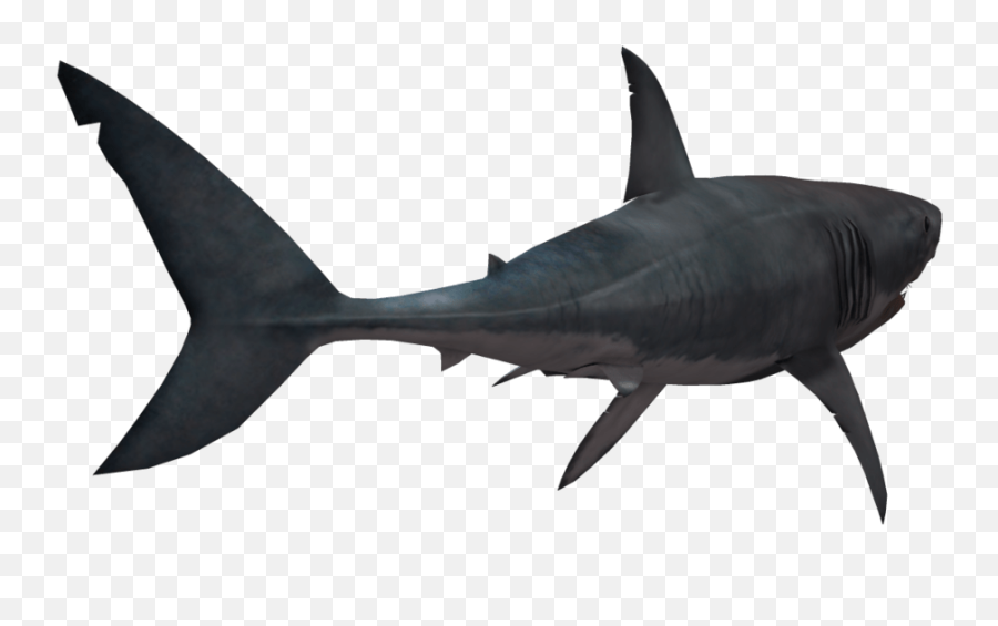 Free Shark Png Transparent Image - Clipart Shark Silhouette Emoji,Shark Transparent Background