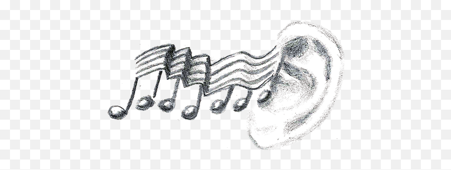 Download Hd Noise Icon Drawing - Hand Drawn Music Notes Png Music And Movement Drawing Emoji,Noise Png
