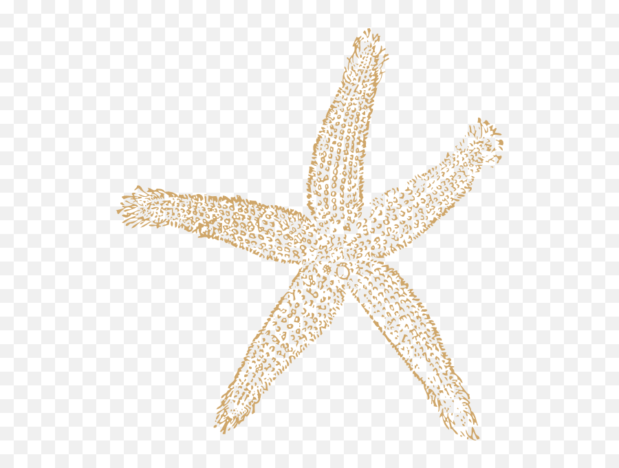 Clipart Beach Starfish Clipart Beach St 1588295 - Png Beach Wedding Clipart Emoji,Seashell Clipart