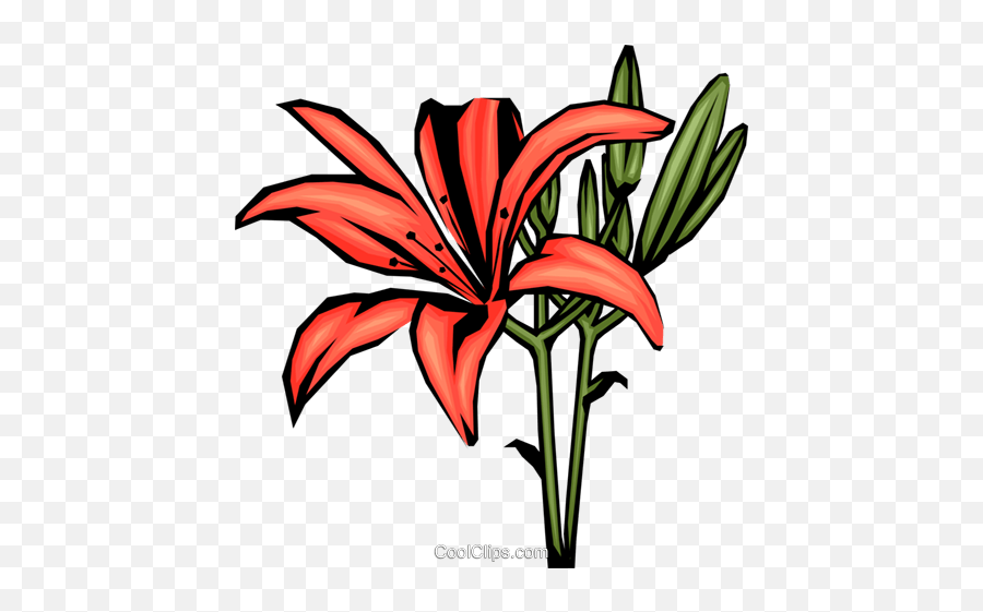 Colorful Lilies Royalty Free Vector Clip Art Illustration Emoji,Lilies Clipart