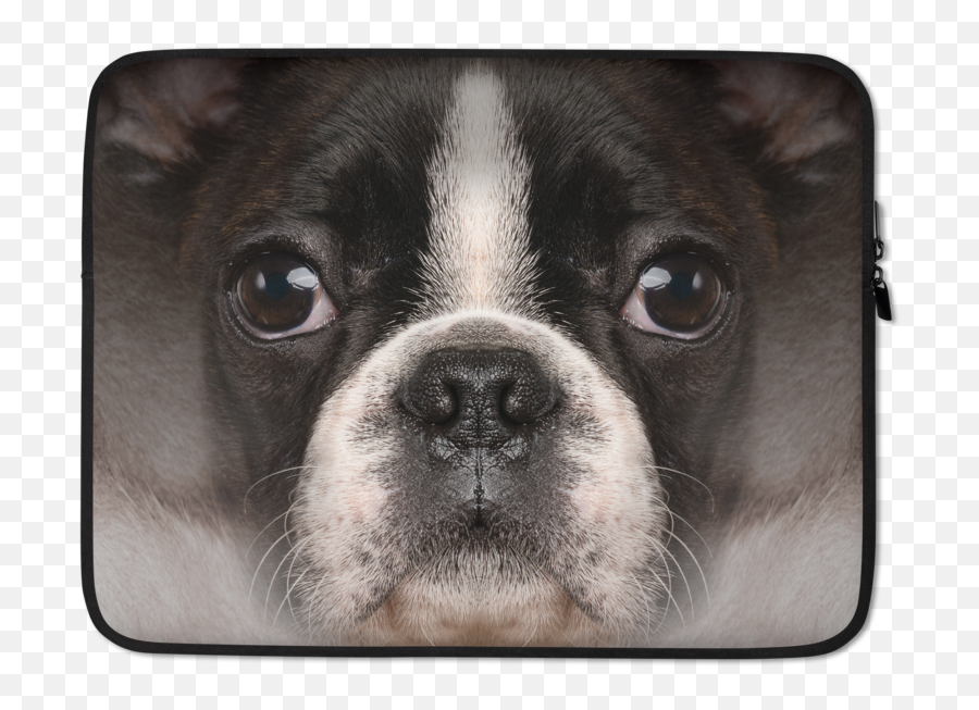 Boston Terrier Dog Laptop Sleeve Emoji,Boston Terrier Png