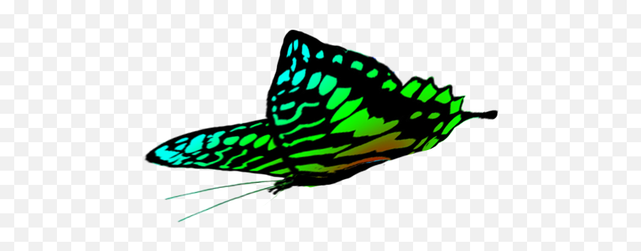 Free Butterflies Drawings Green Butterfly Wings - Brush Emoji,Free Clipart Butterflies