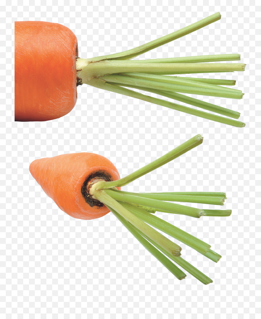 Carrot - Carrot Emoji,Carrot Png