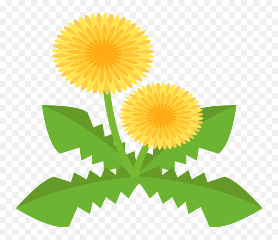 Dandelion Flower Clipart - Fresh Emoji,Dandelion Clipart