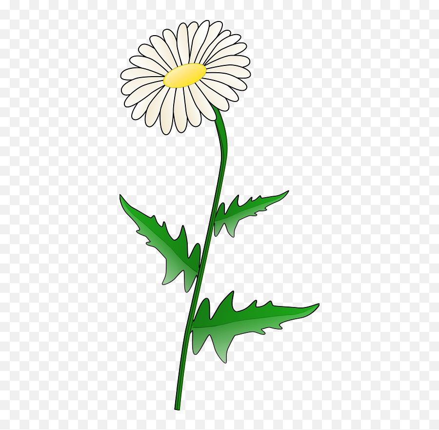 Daisy Clipart Free Download Transparent Png Creazilla - Marguerite Daisy Emoji,Wildflower Clipart