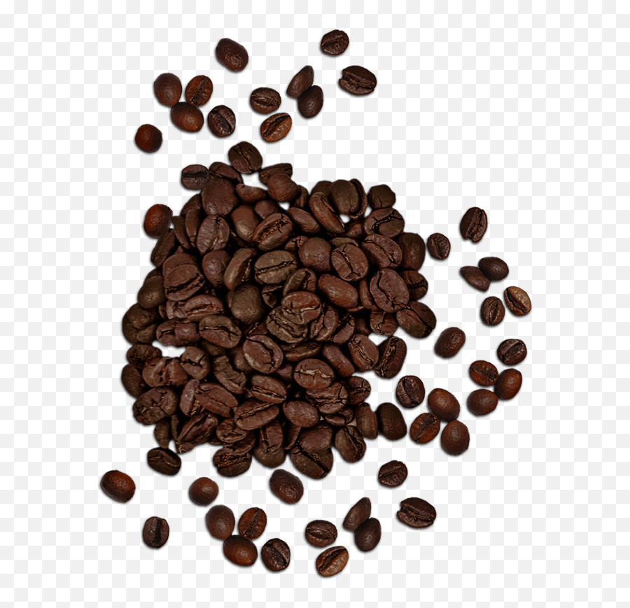 Coffee Beans Coffee Beans Top View Png - Clip Art Library Arabic Coffee Recipe Emoji,Coffee Beans Clipart