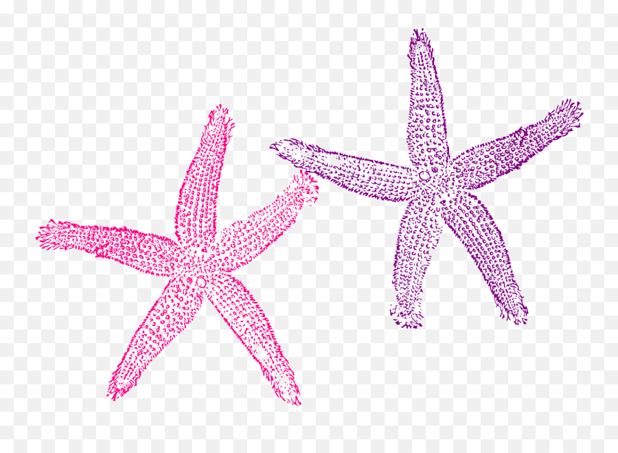 Fish Clip Art Png Download - Star Fish More Clipart Emoji,Star Fish Png