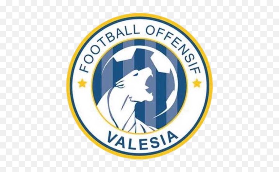 Bibo Football Academy Vs Fo Valesia 1 Mycujoo Emoji,Logo De Puma