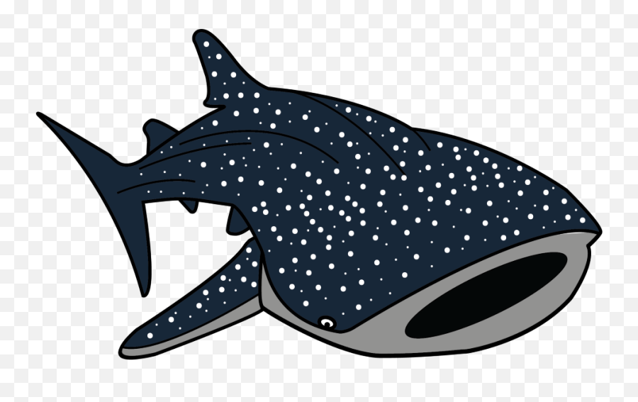 Hammerhead Shark Clipart Whale Shark - Whale Shark Clip Art Whale Shark Clipart Free Emoji,Shark Clipart