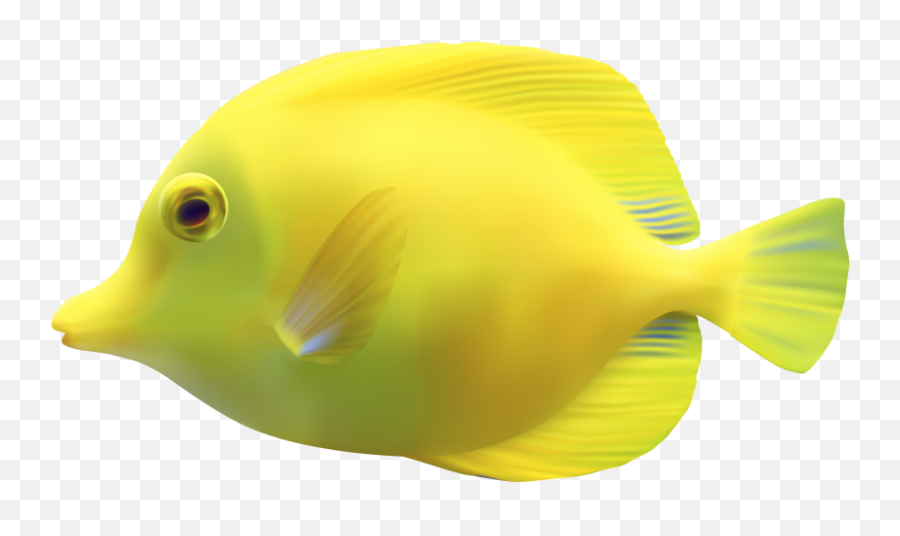 Yellow Fish Transparent Background Png - Yellow Fish Transparent Background Emoji,Fish Transparent Background