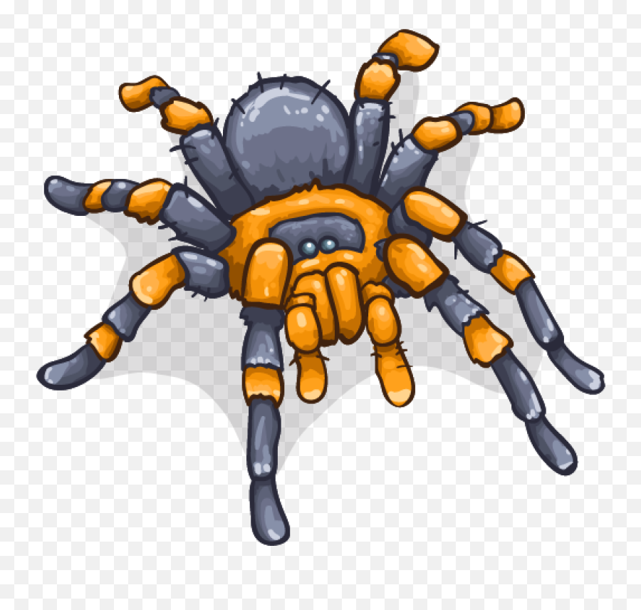 Drawing Transparent Png Image - Animasi Tarantula Png Emoji,Tarantula Png