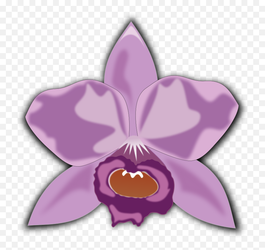 Cattleya - Cattleya Clipart Emoji,Orchid Clipart